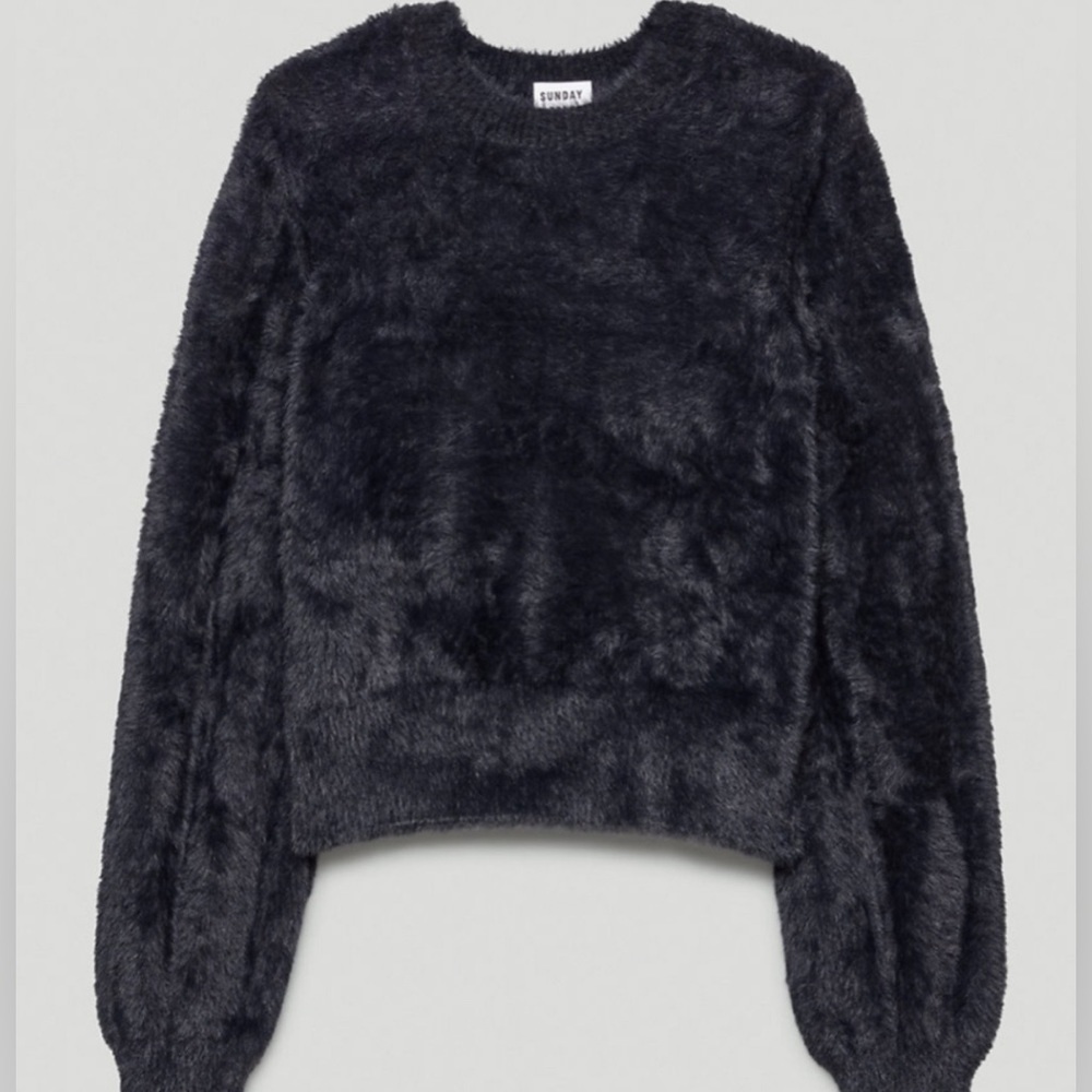 Aritzia Sunday Best • Kitten sweater